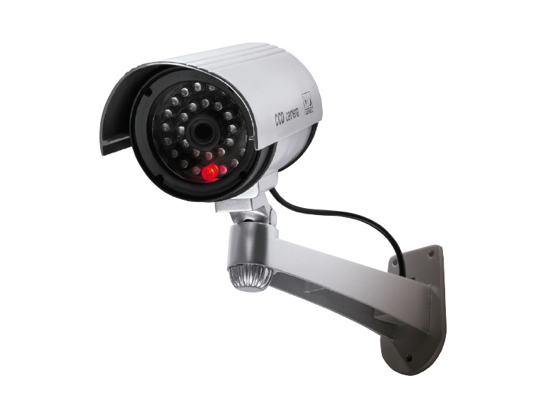 Outdoor Imitation Surveillance Camera