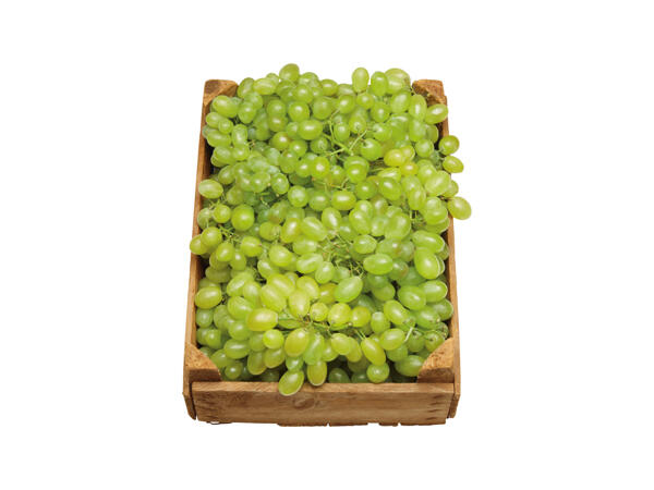 Gröna vindruvor