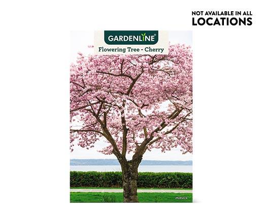 Gardenline 
 Shade or Ornamental Tree Assorted Varieties