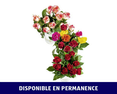 ROSES FAIRTRADE MAX HAVELAAR