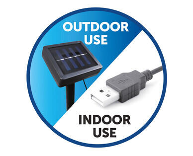 LED Festoon Lights