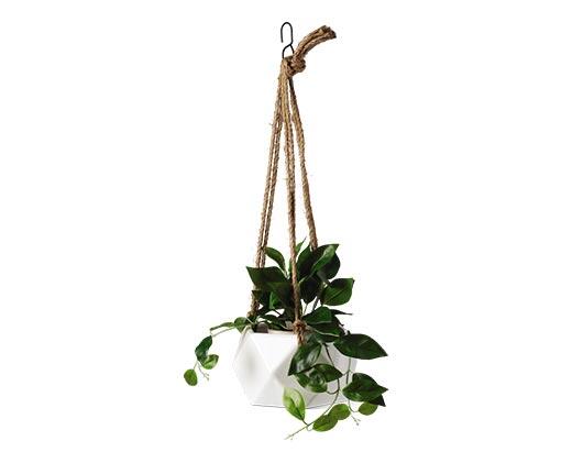 Belavi 
 Geometric Planter