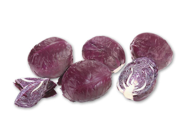 Stor dansk rødkål