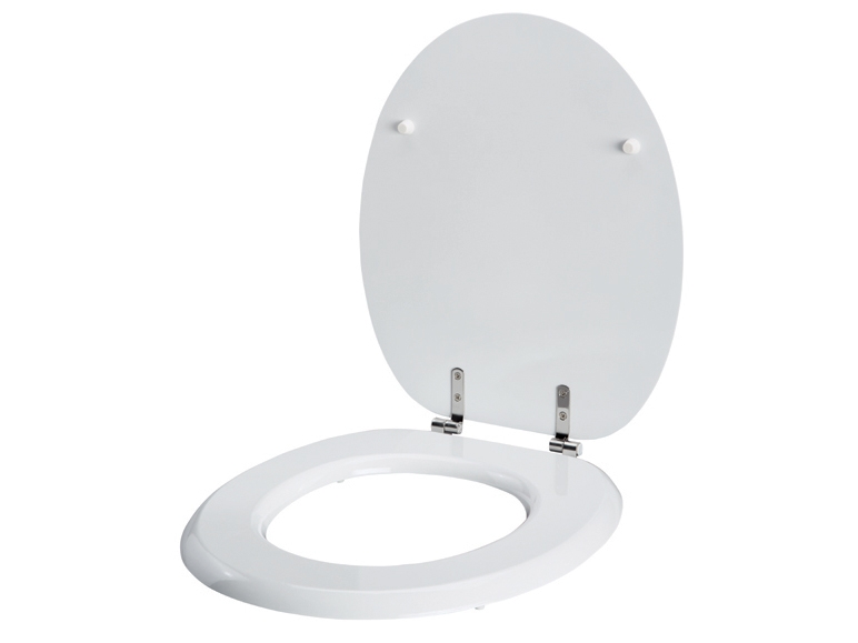 Toilet Seat