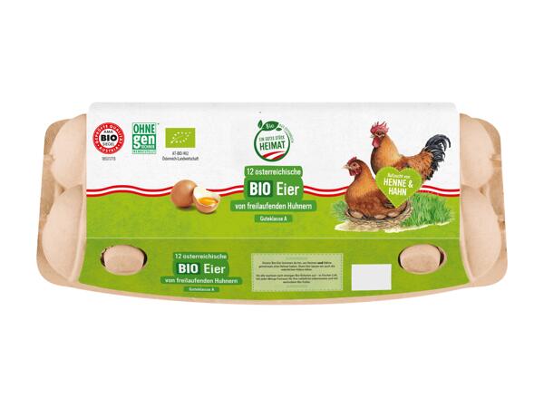 Bio Eier