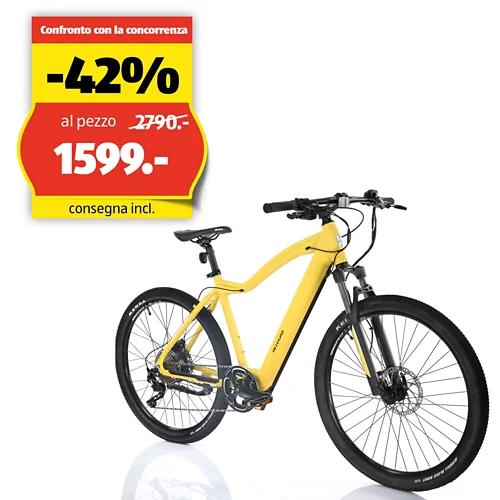 ALLEGRO Invisible E-MTB AXIM°03 19", Corn