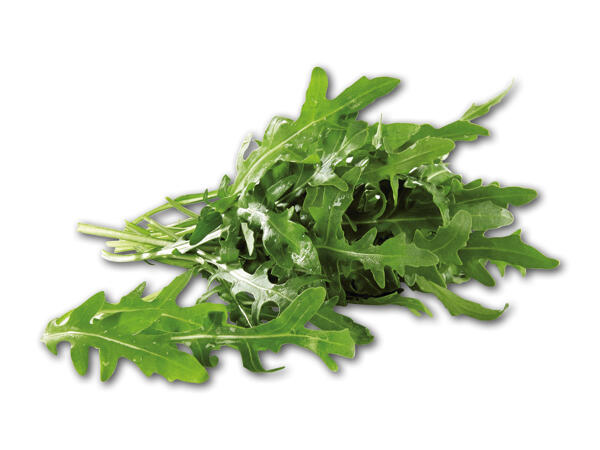 Rucola