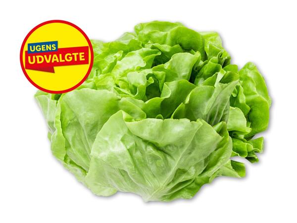 Hovedsalat
