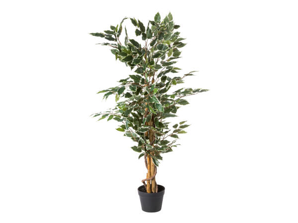 Artificial Plant