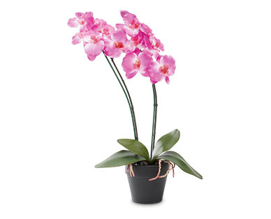 Artificial Orchids