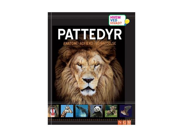 Vidensbog