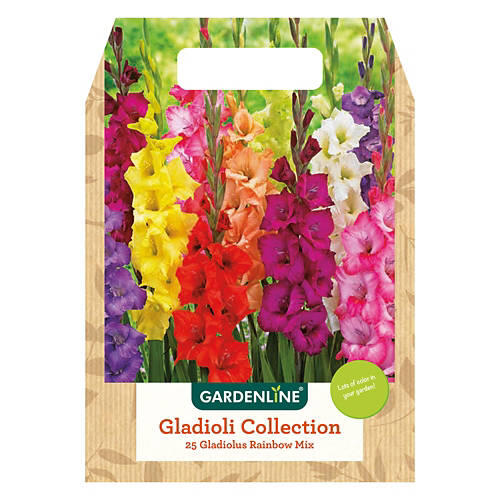 Mixed Spring Bulbs - Assorted Varieties