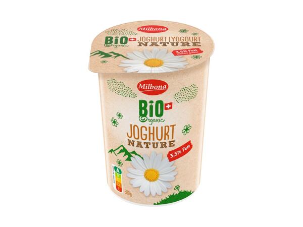 Yogourt nature 3,5% bio