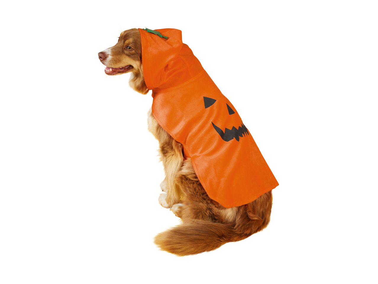 Hundekostume