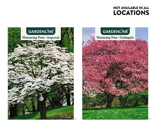 Gardenline 
 Shade or Ornamental Tree Assorted Varieties