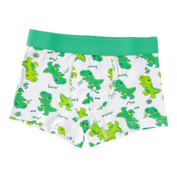 LILY & DAN(R) 				Slips, 3 st. of boxershorts, 2 st.