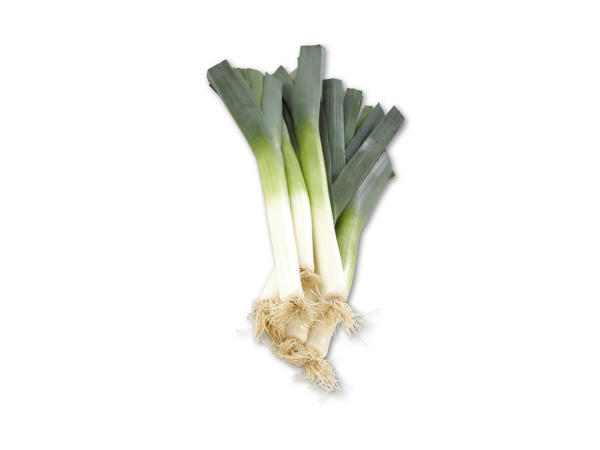 Danske porrer