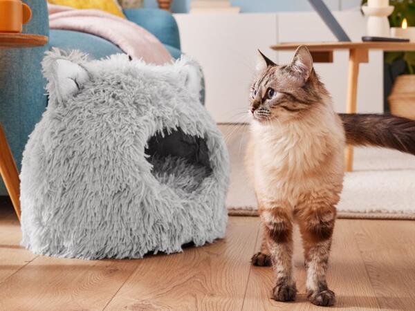 Pet Bed Assortment