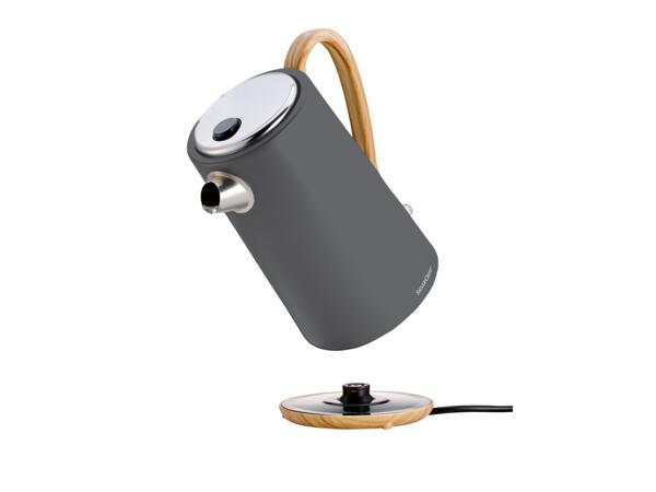 RYCHLOVARNÁ KONVICE 3 100 W