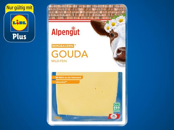 Bergbauern Gouda