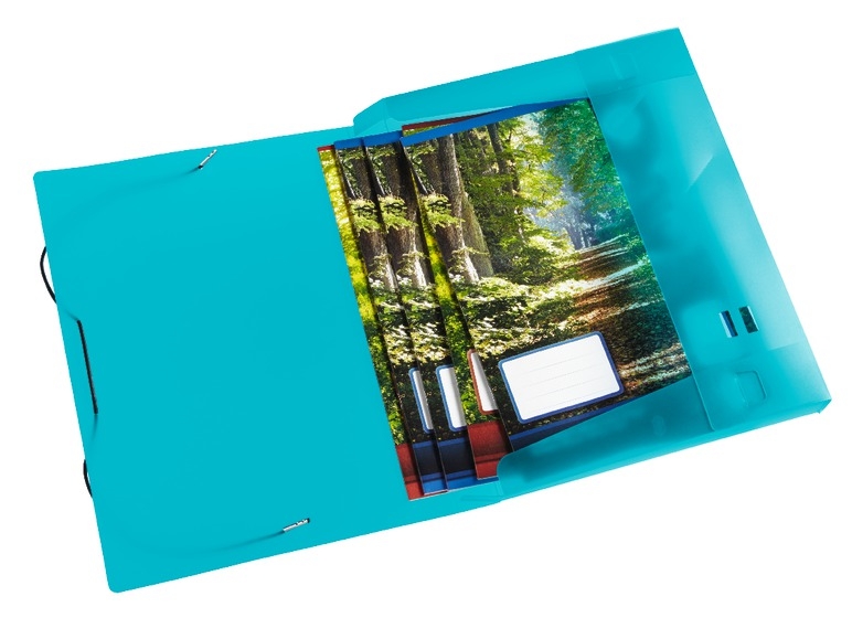 Document Folder or Ring Binder