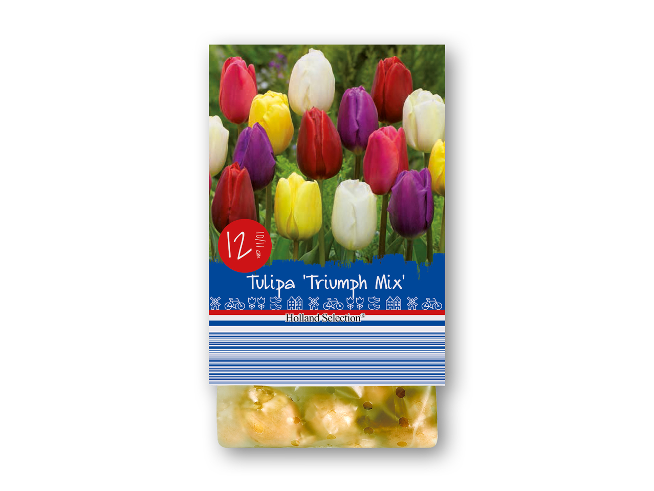 Forårsblomsterløg