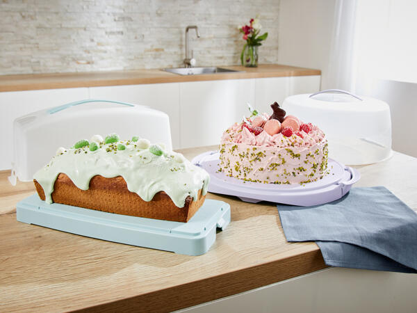 Round or Rectangular Cake Storage Box
