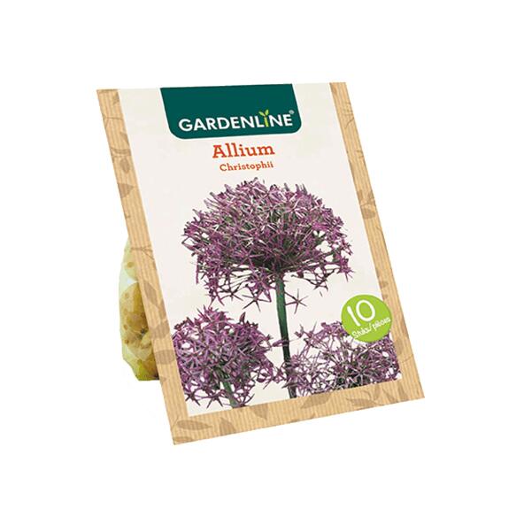 GARDENLINE(R) 				Blumenzwiebeln Zierlauch