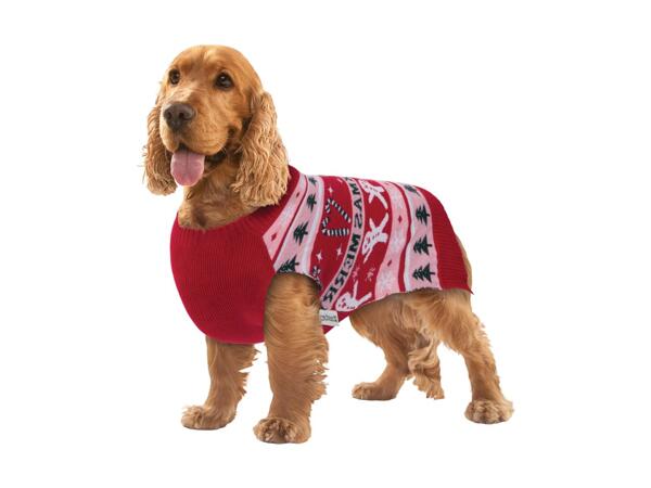 Dog Jumper