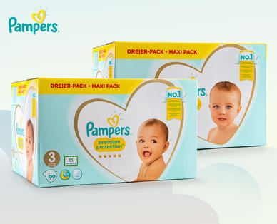 PAMPERS Premium Protection Windeln