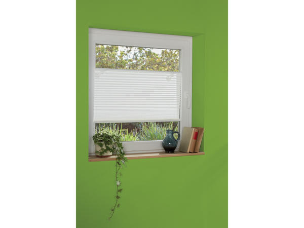 Blinds