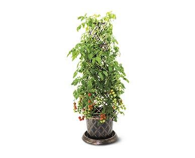Gardenline Lattice Planter