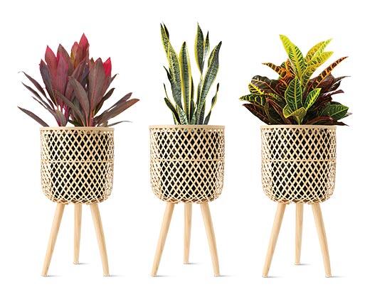 Belavi Planter on Stand
