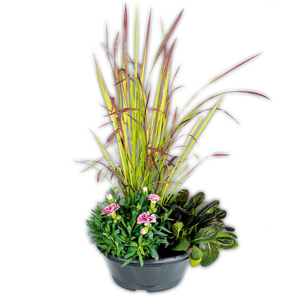 Trio Herbst Mix XL