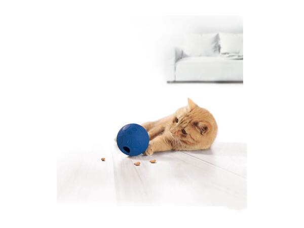 Zoofari Pet Accessories
