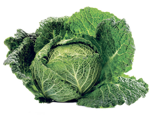 Österreichischer Kohl