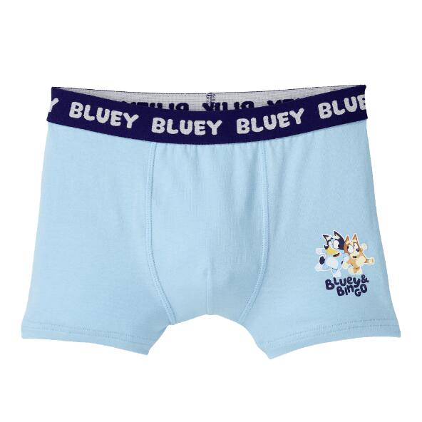 BBC STUDIOS(R) 				Boxers ou slips Bluey(R)
