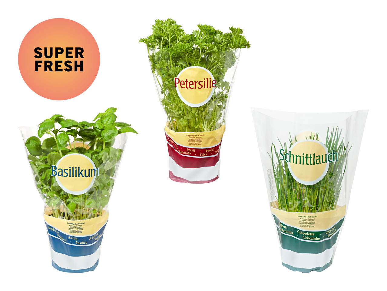 Herbes aromatiques