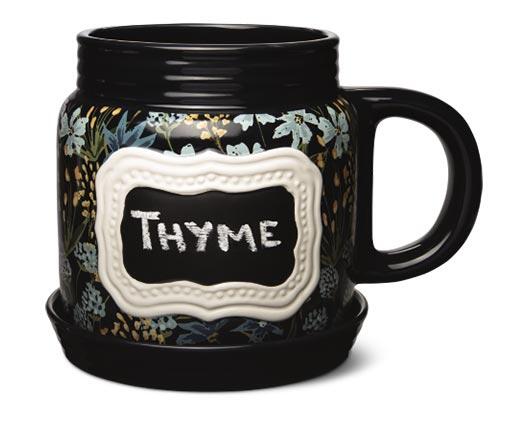 Belavi
Teacup or Mason Jar Planter