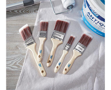 Premium Paint Brush Set 5pk