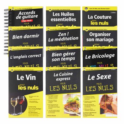 Buch "Voor Dummies"
