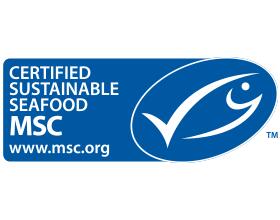 Yellowfin Tuna Steak