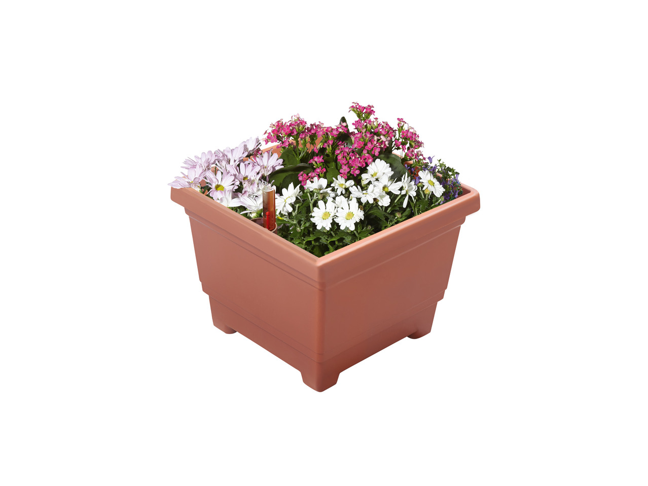 FLORABEST(R) Plantekrukke