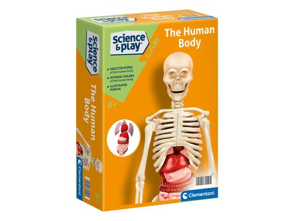 Mini educational game
