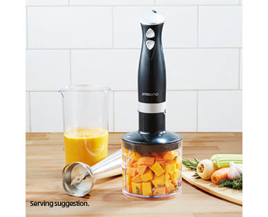 Stainless Steel Stick Mixer