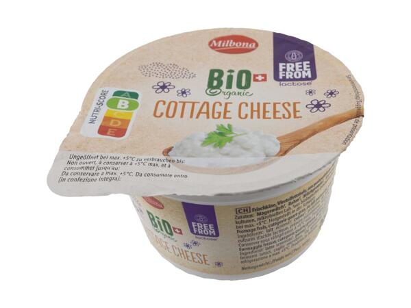 Cottage cheese bio sans lactose