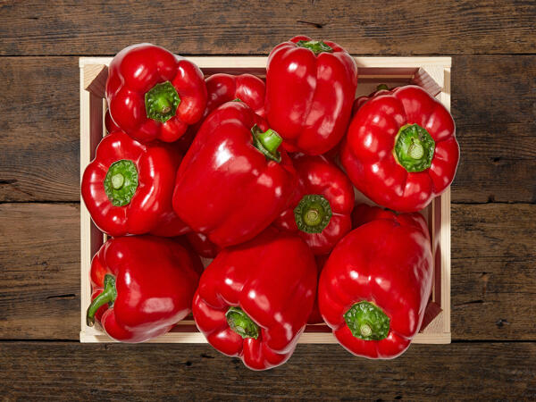 Peperoni rot