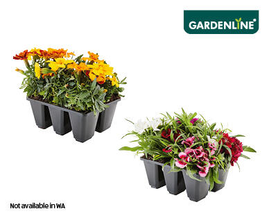 Mixed Herbs and Flowers 6pk