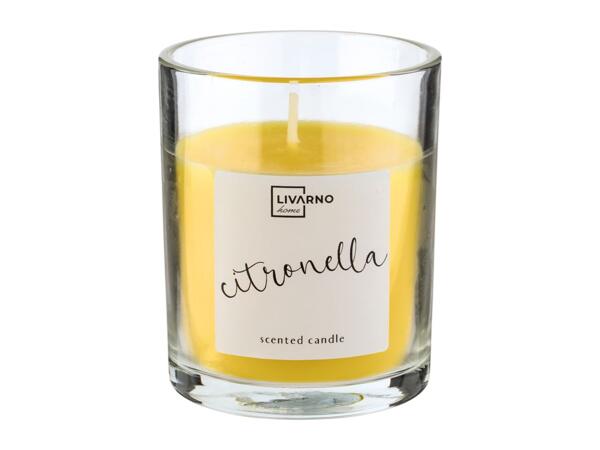 Livarno Home Scented Candle - Citronella