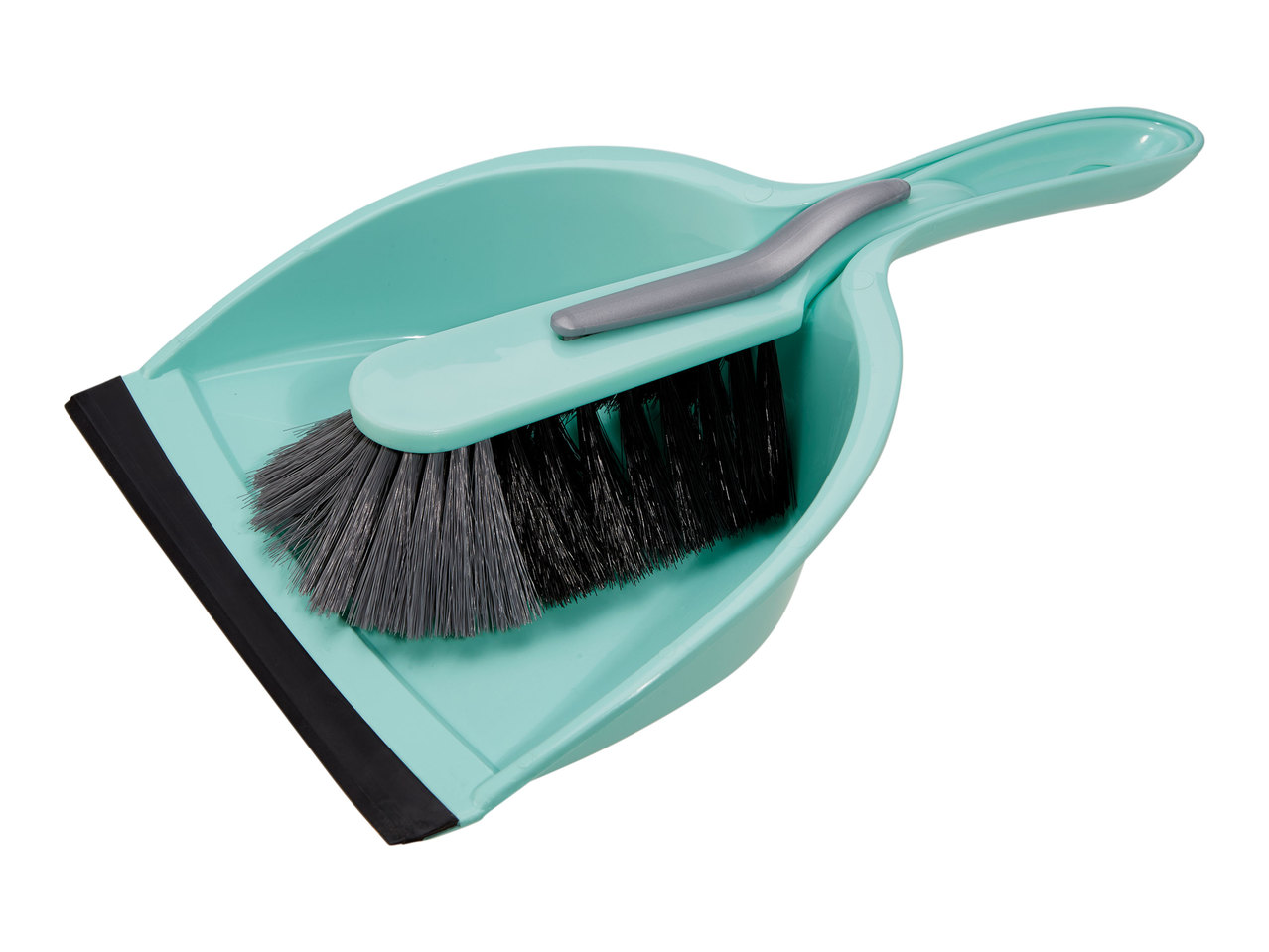 Aquapur Dustpan and Brush1